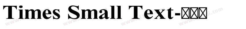 Times Small Text字体转换